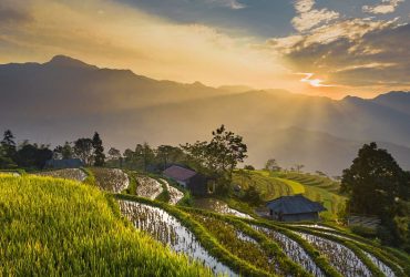 vietnam, sunset, rice fields, rice terraces, north vietnam, ha giang, agriculture, cultivation, farming, field, harvest, landscape, nature, northwest vietnam, sunlight
