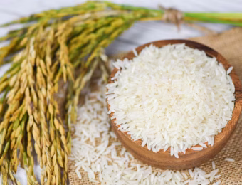 raw-jasmine-rice-grain-with-ear-paddy-agricultural-products-food-asian-thai-rice-white-bowl-sack-background_73523-3077
