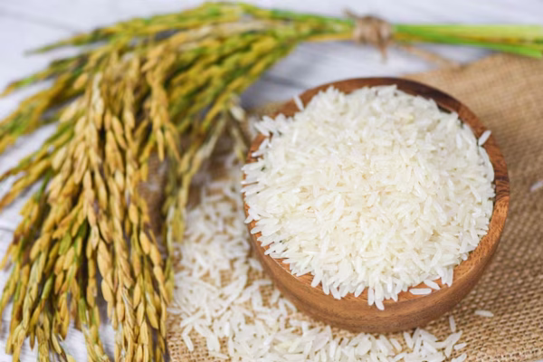 raw-jasmine-rice-grain-with-ear-paddy-agricultural-products-food-asian-thai-rice-white-bowl-sack-background_73523-3077